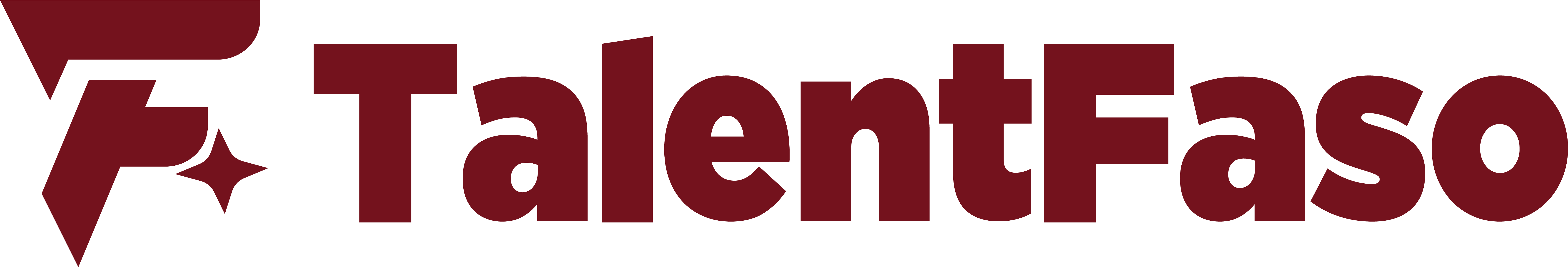 TalentFaso Logo